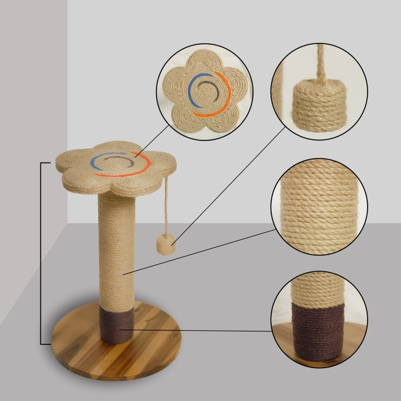 meo-cao-mat-hoa-205a